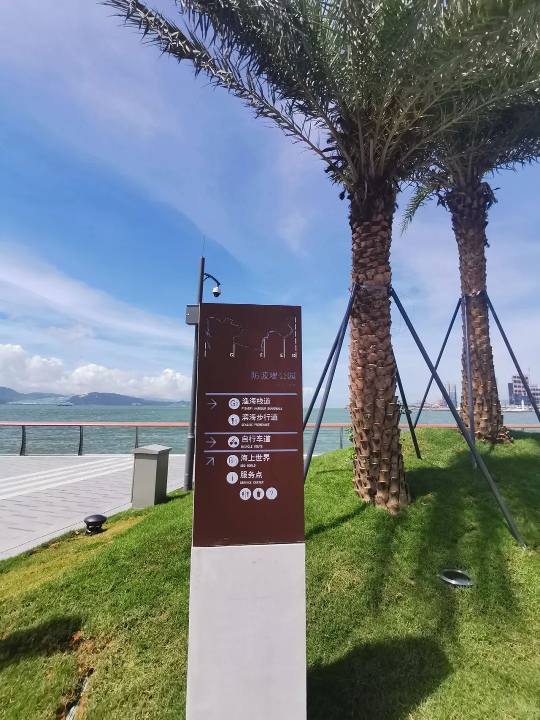 深圳新添大型高颜值公园,深圳最近新开放的公园