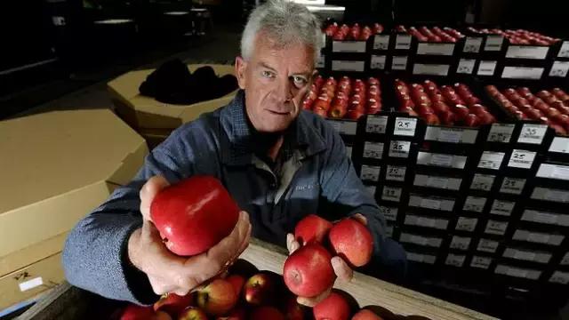 到了澳洲之后才知道的奇葩事,去了澳大利亚才知道的事