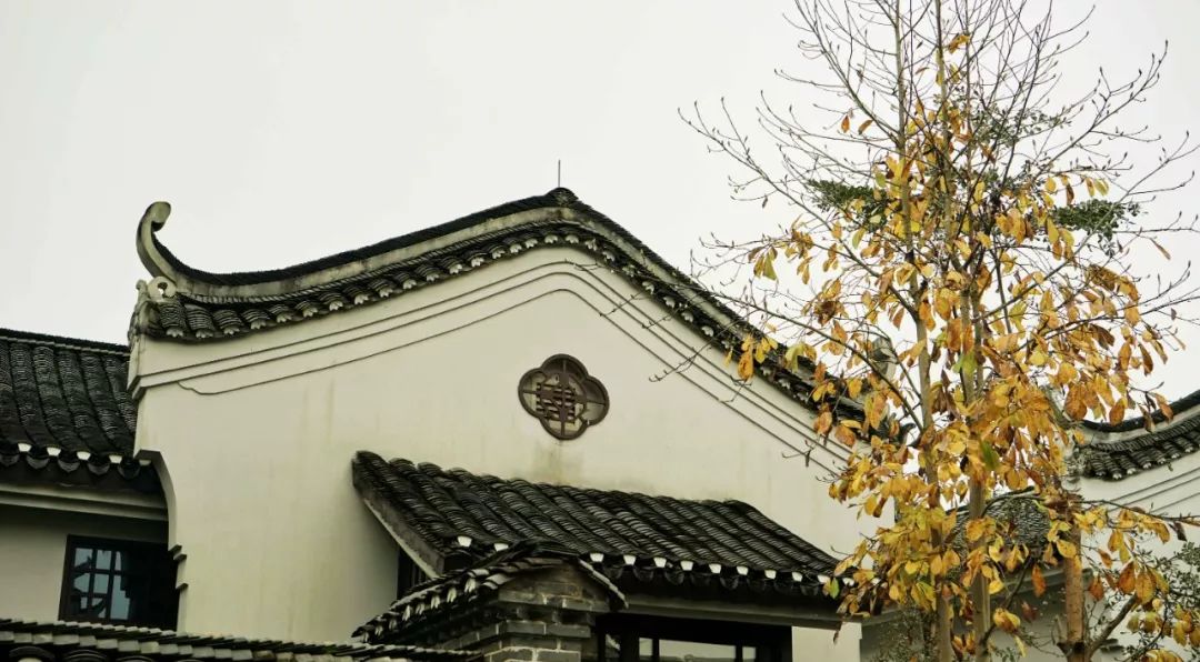 悦榕庄阳朔游漓江,都说桂林山水甲天下下一句