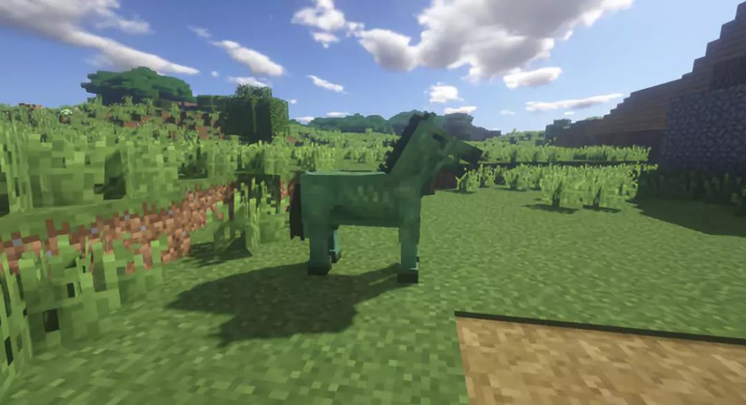 我的世界隐藏的12个秘密生物,我的世界4个隐藏物品