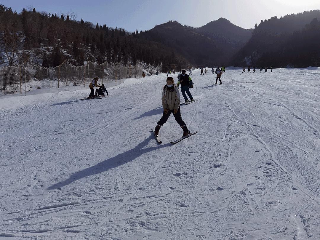 萌翻了原视频,萌翻了