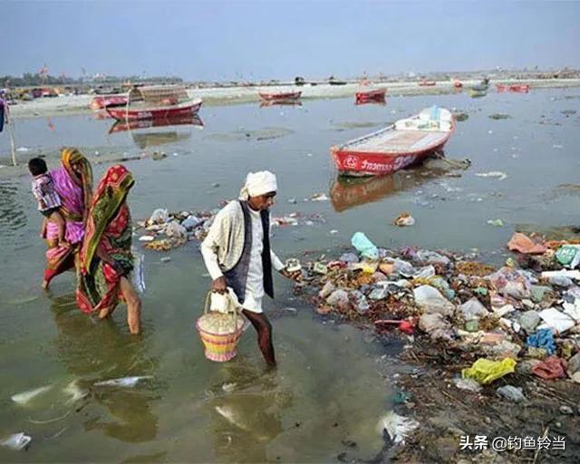 恒河的“烦恼”，鲶鱼已多到泛滥成灾，钓友：高价请我都不去钓！