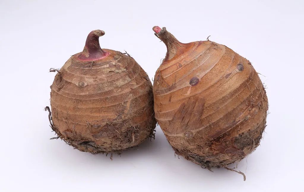 蔬菜发芽还能吃吗,蔬菜发芽了还能买吗