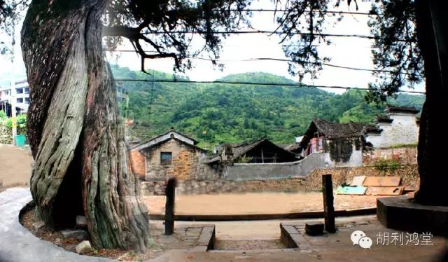 永嘉古村古镇,永嘉县哪些古村落