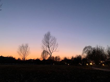 1700万起市区买绝版独栋别墅,上海281㎡联排别墅2780万