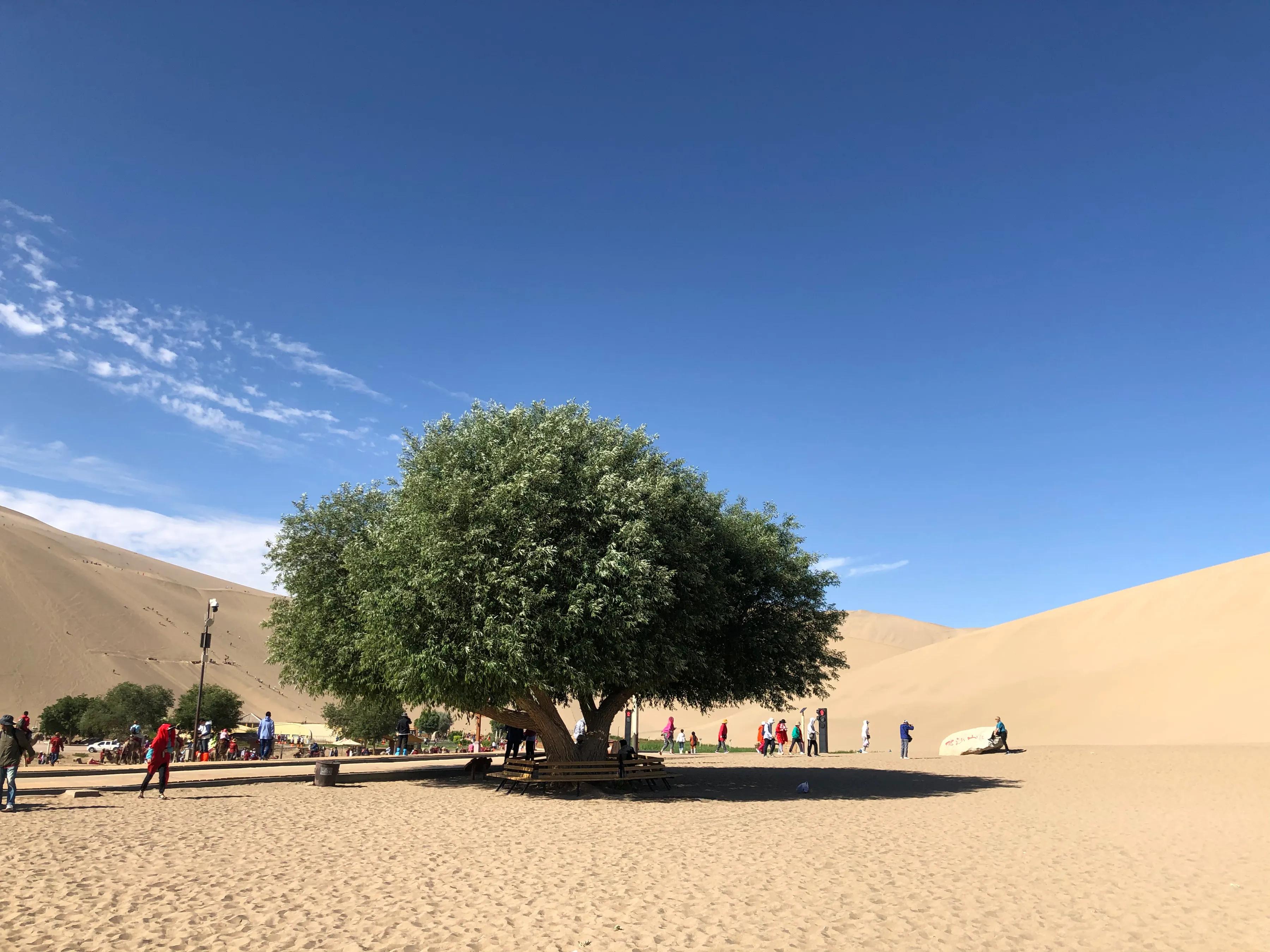 敦煌月牙和鸣沙,鸣沙月牙