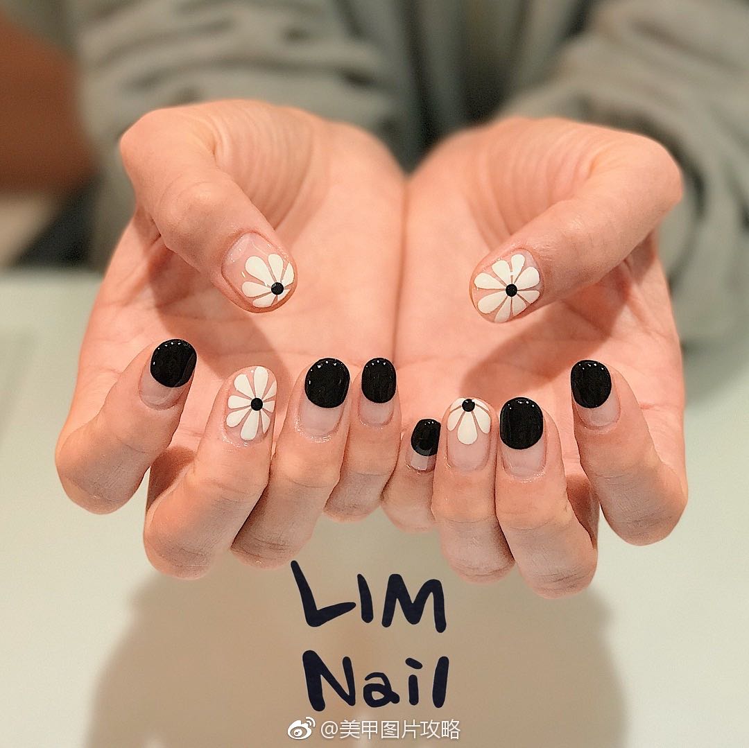 小雏菊带香味,小雏菊花果香