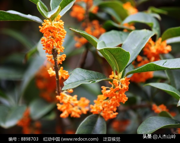 黄岛金沙滩有关传说,乳山的传说