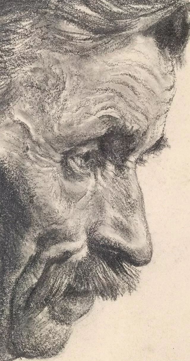 华卿画室素描头像,北京华卿画室在哪