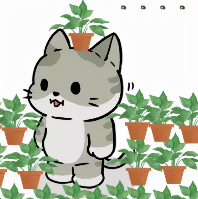 绿萝除醛效果,绿萝除醛最有效方法