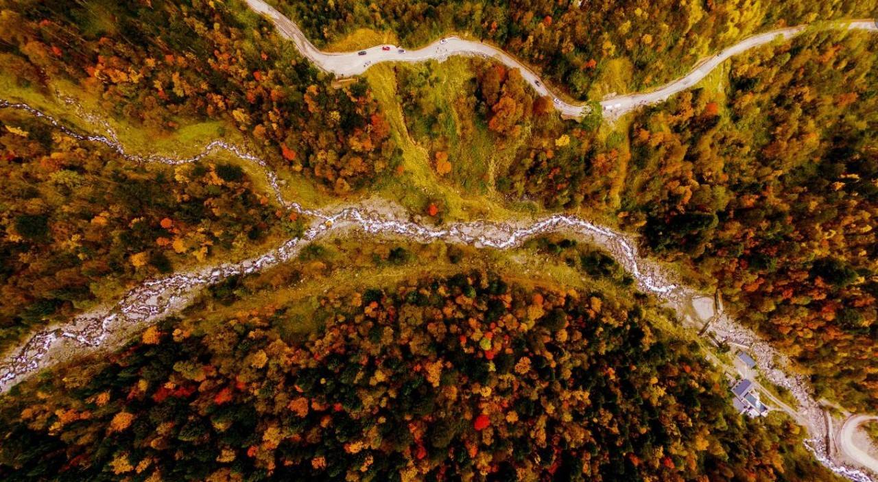 成都假期攻略之雅安天全县喇叭河风景区