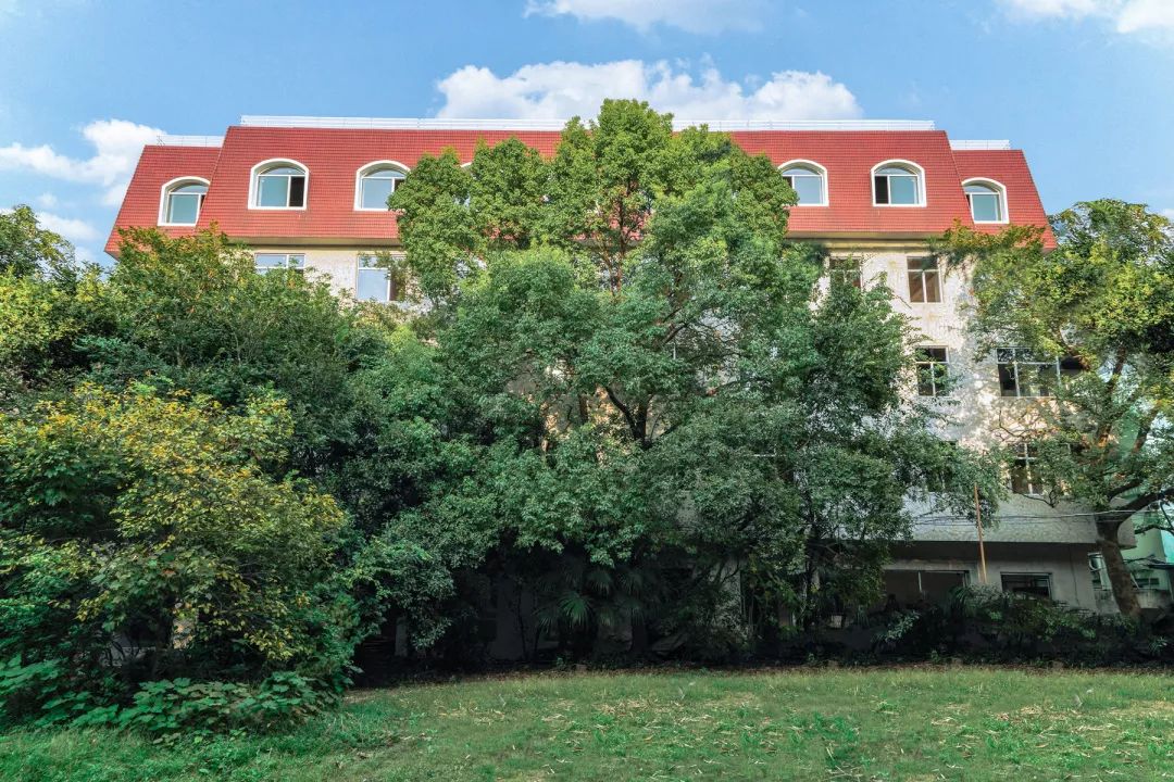 趣办空间|临窗观草木,*情纵**山水间:趣办@长乐路