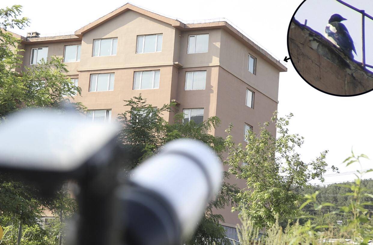 星特朗sctw-80能看到土星吗,星特朗80eq用什么目镜看月球最好