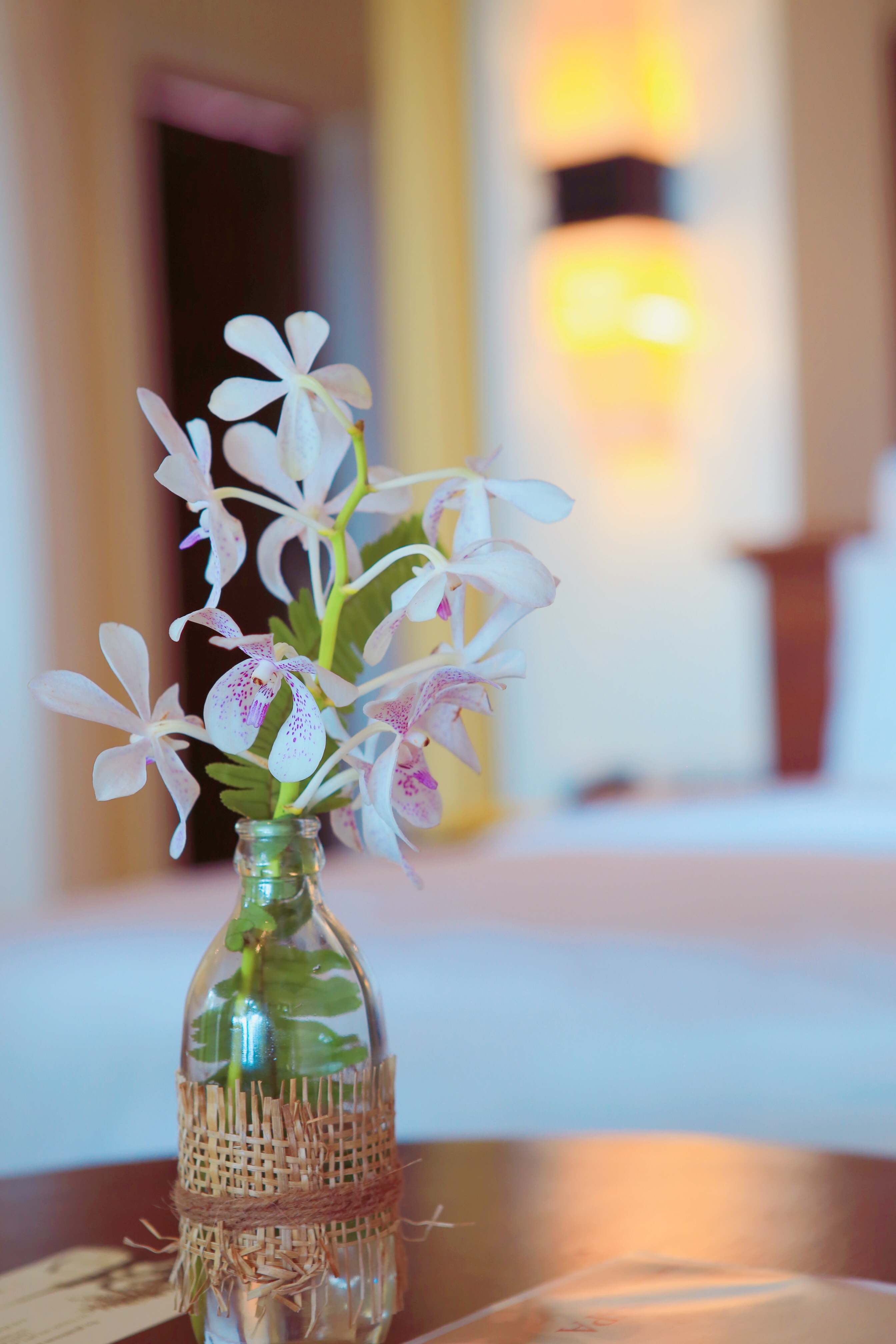 普吉岛三天旅游攻略,普吉岛怎么玩视频