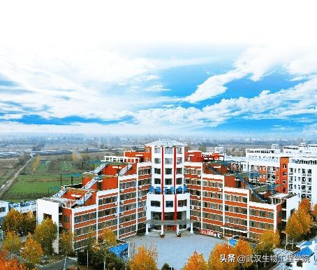 建筑类报考指南,2023报考指南工程建筑学校