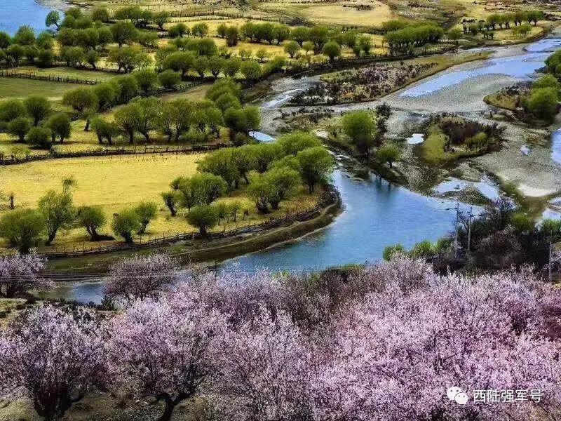 鏋楄姖鍐涙梾,鏋楄姖鍐涜惀鍦扮偣