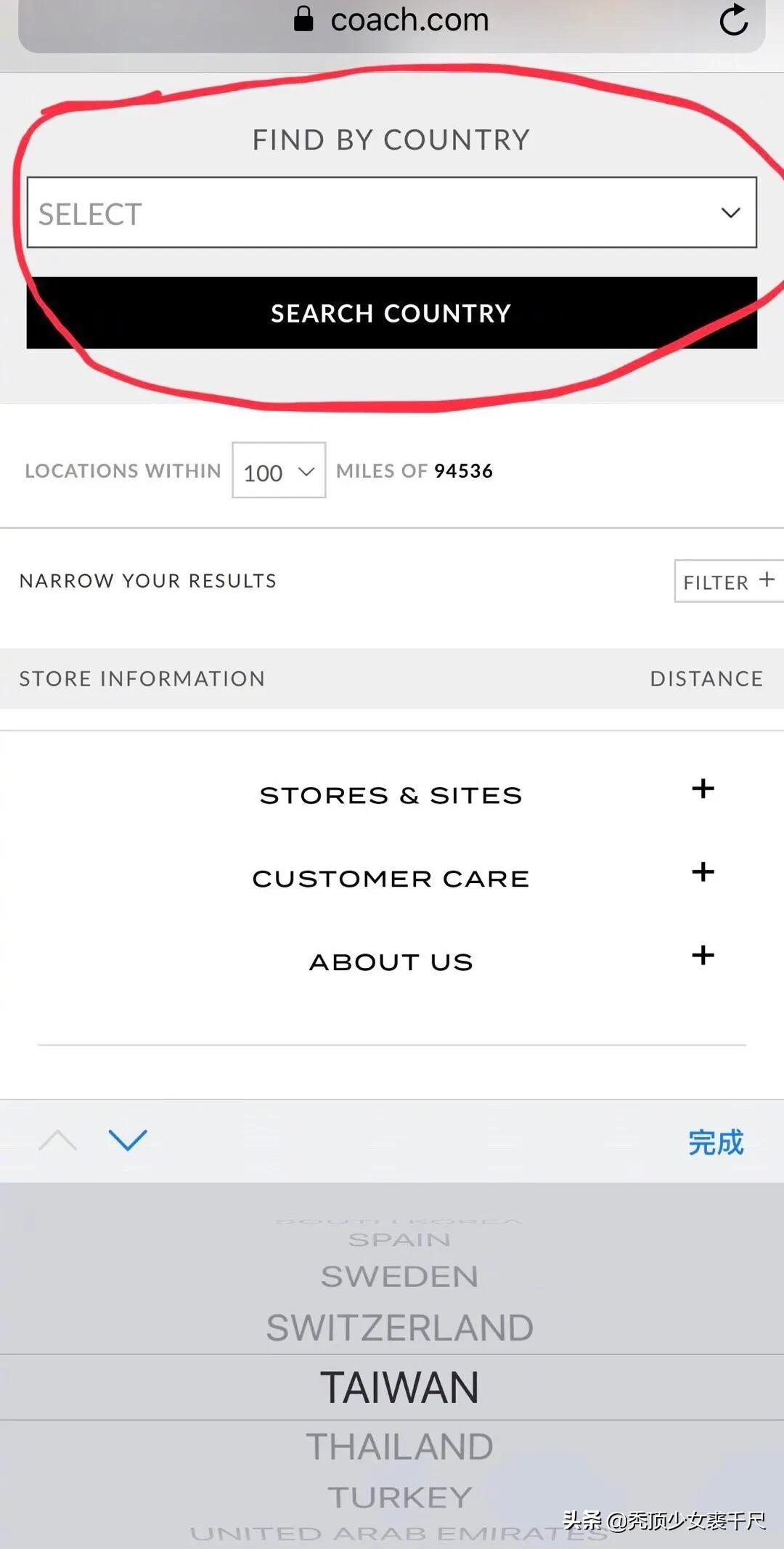 蔻驰与刘雯合作,蔻驰代言人刘雯