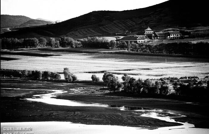 小学难忘的回忆,难忘的小学活作文