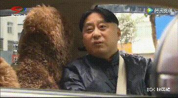 成都人专属沙雕节目清单,你看过几个?