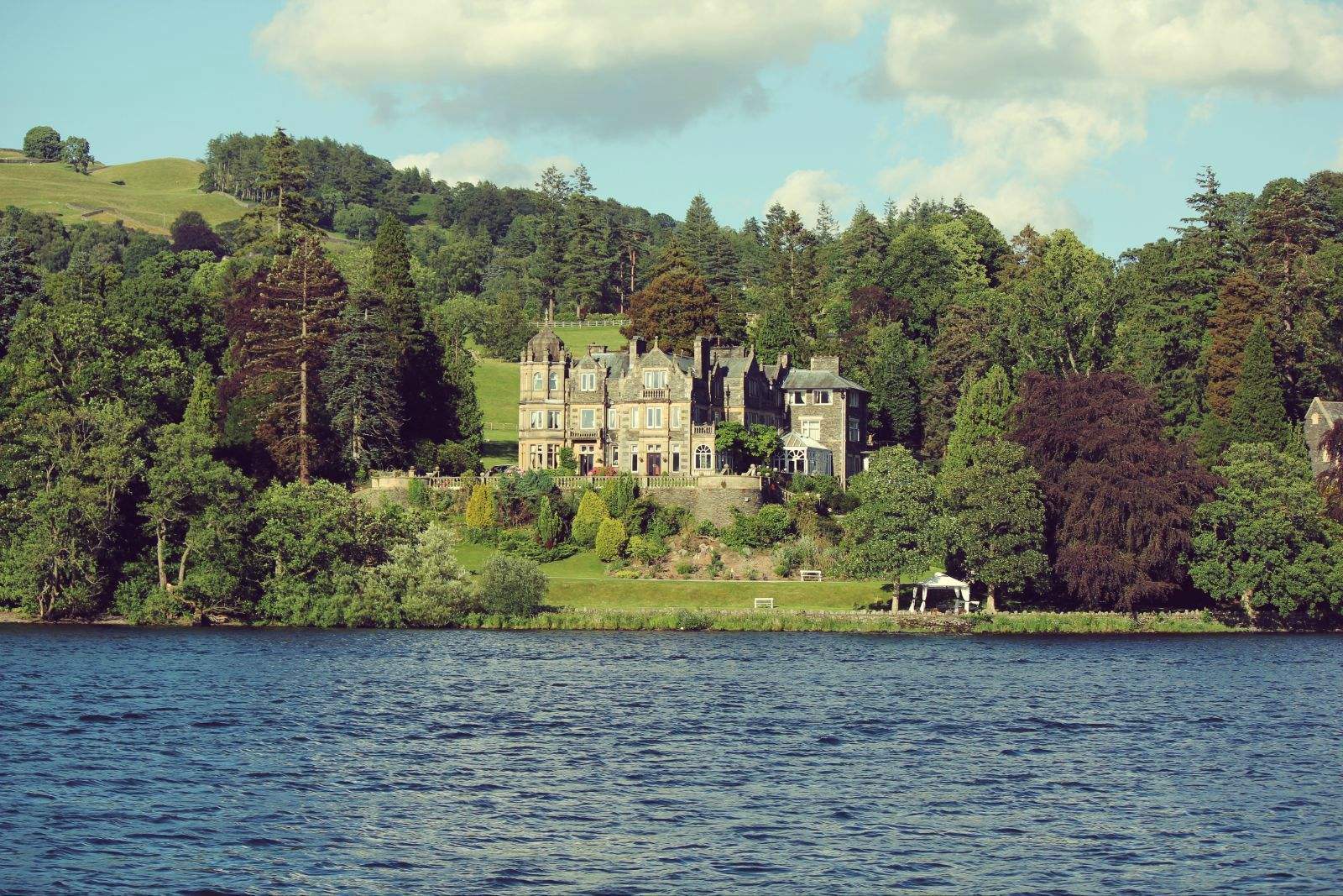 神奇动物在哪里小雀斑经典镜头,神奇的动物小雀斑