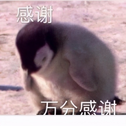 miui12和ios14的系统有哪些很像,ios14和miui12对比