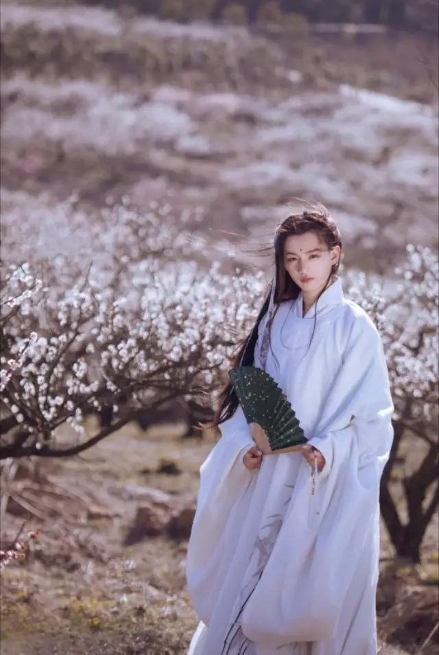 李白35字古诗词,李白五言律诗四句