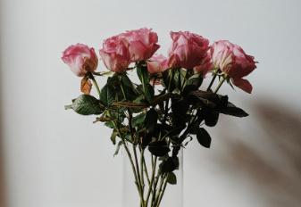 女生什么行为会让男生觉得最掉价,女生什么行为在男生眼里最掉价