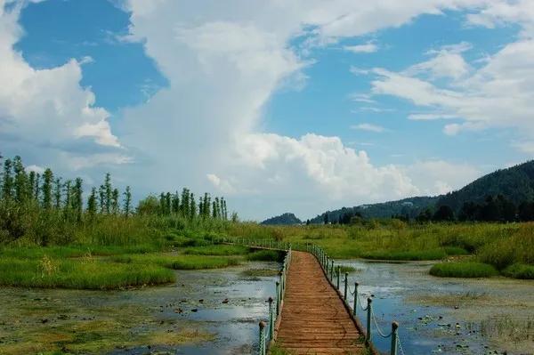 滇池边绝美花海,滇池南岸花海