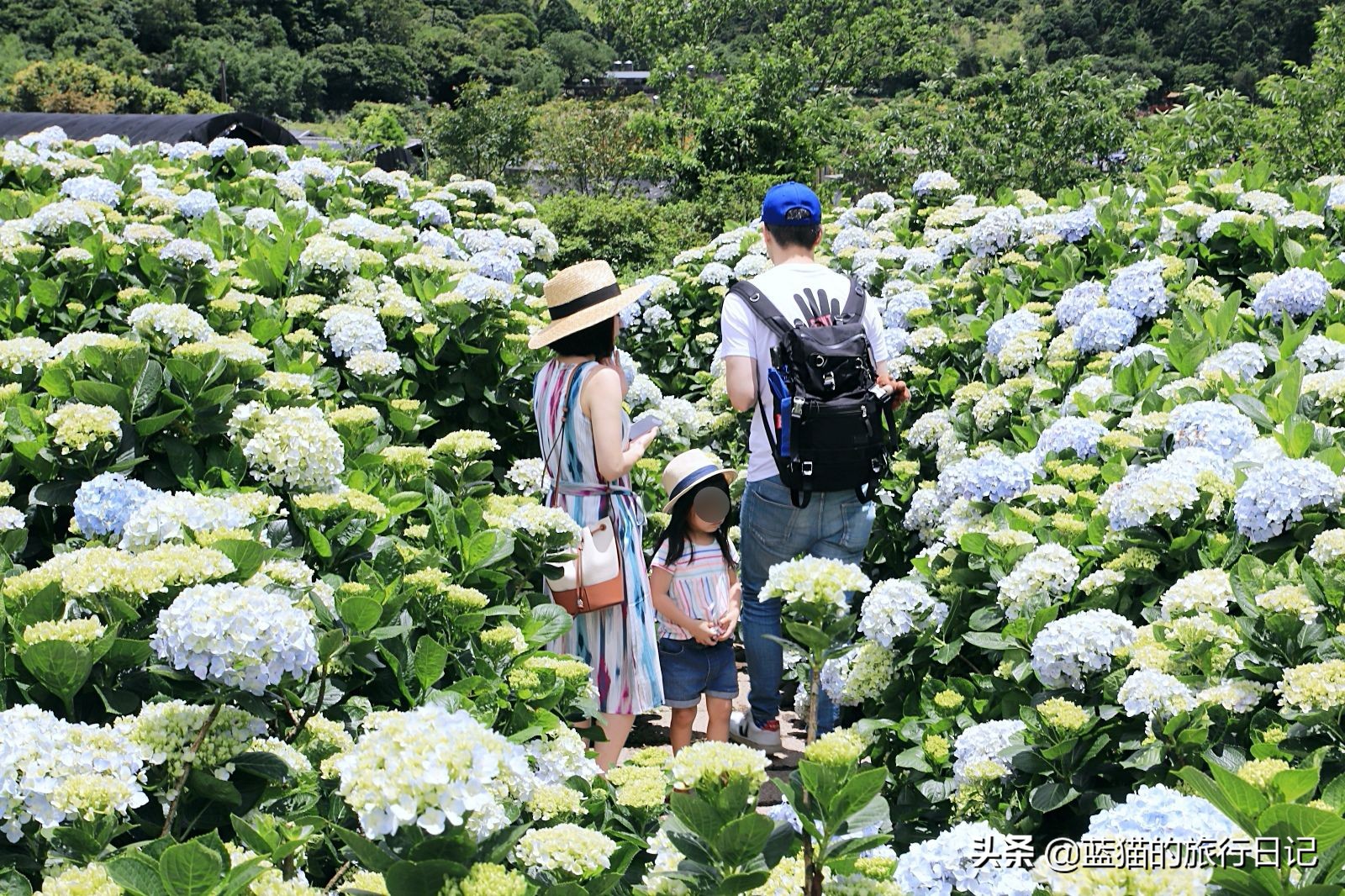 520最浪漫的旅游地,520浪漫出游地