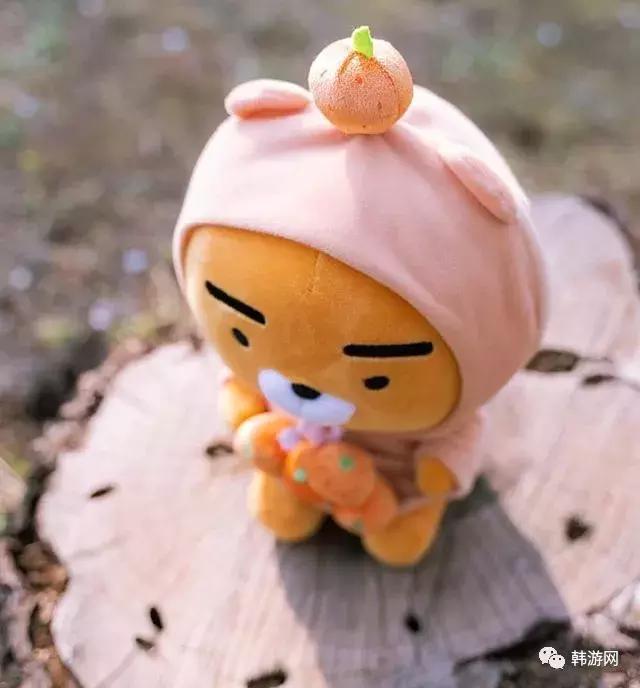 去济州岛一定要买返程票吗,去济州岛一定得去免税店吗