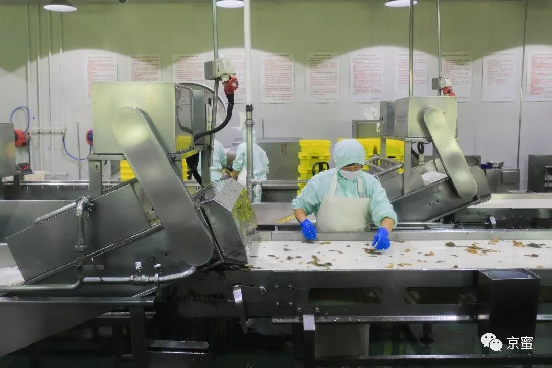 庆丰竟然建了个“包子博物馆”，告诉你中国人到底有多爱吃包子