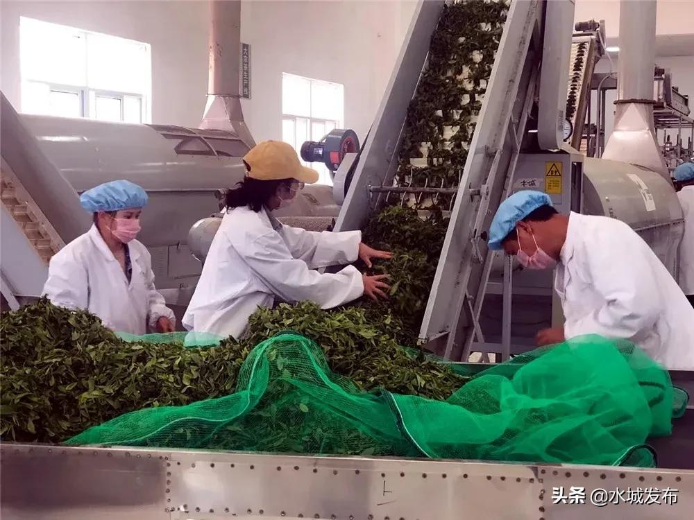 水城:产业兴旺乡村美