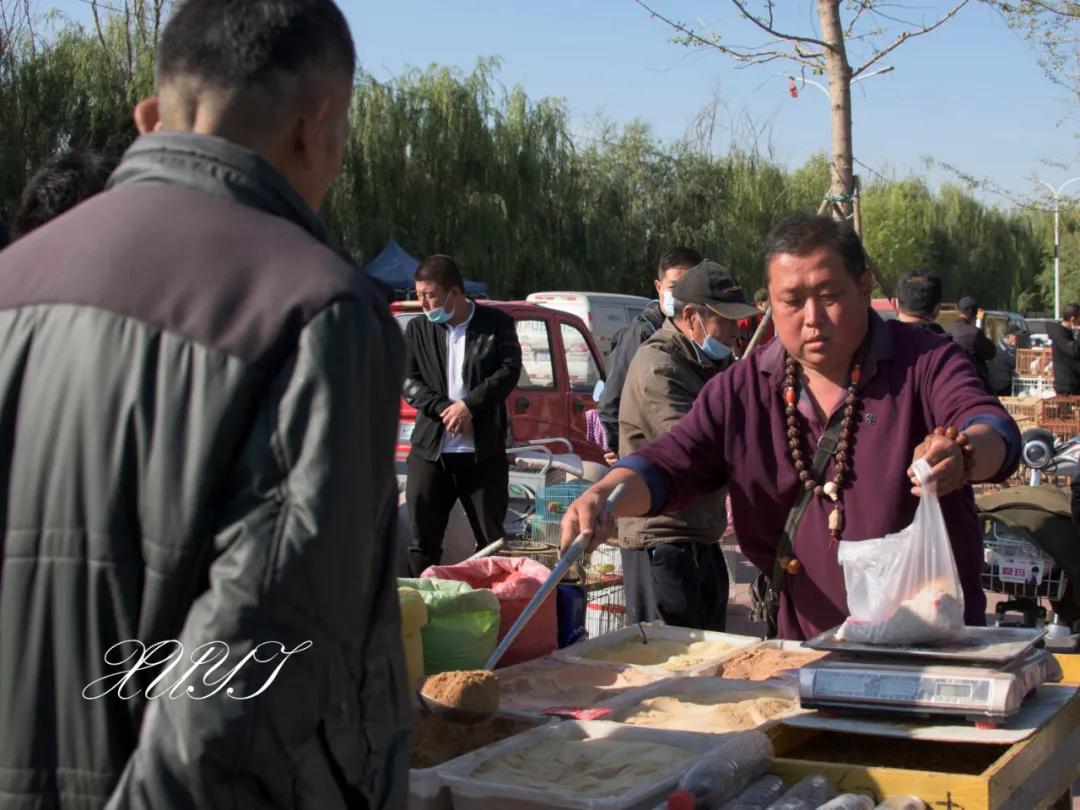 天津徐庄子宠物市场,天津北辰小街桥下宠物市场