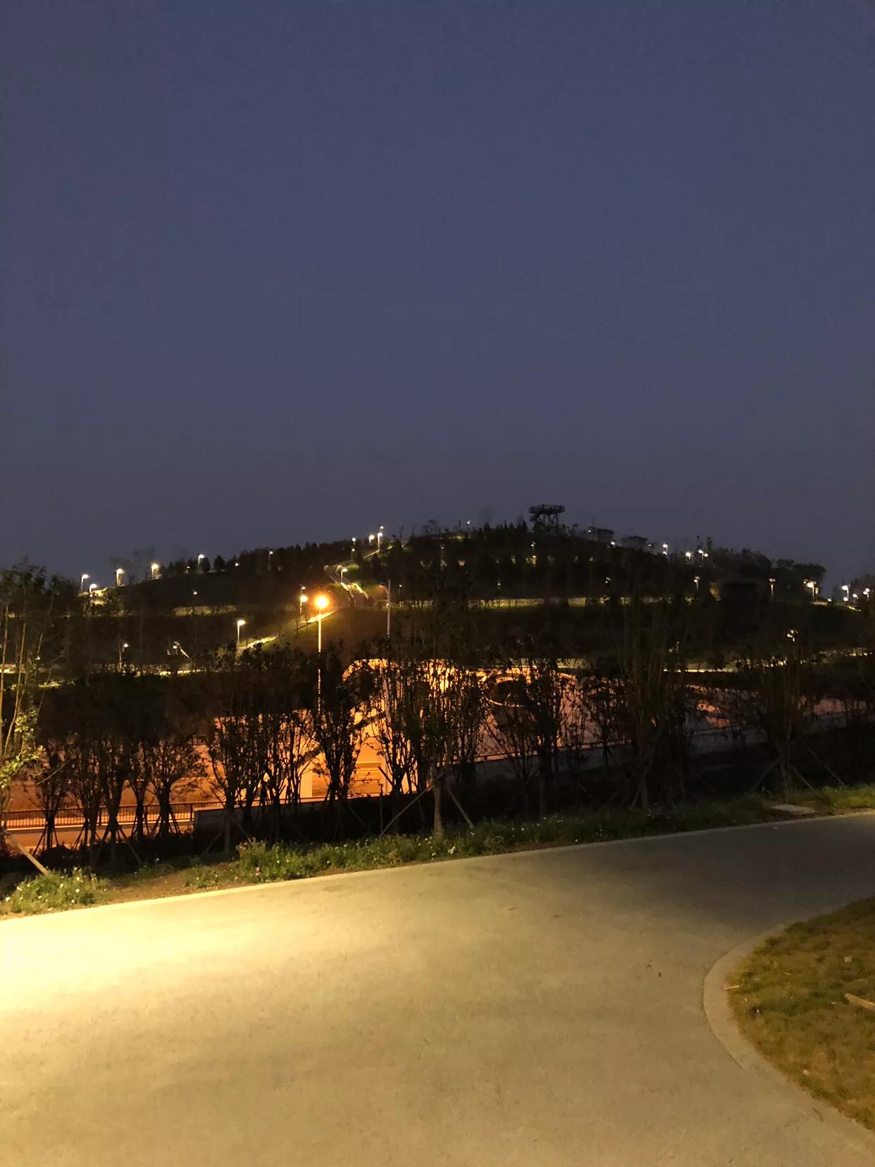 郑州国家森林公园夜游,郑州森林公园冬日游