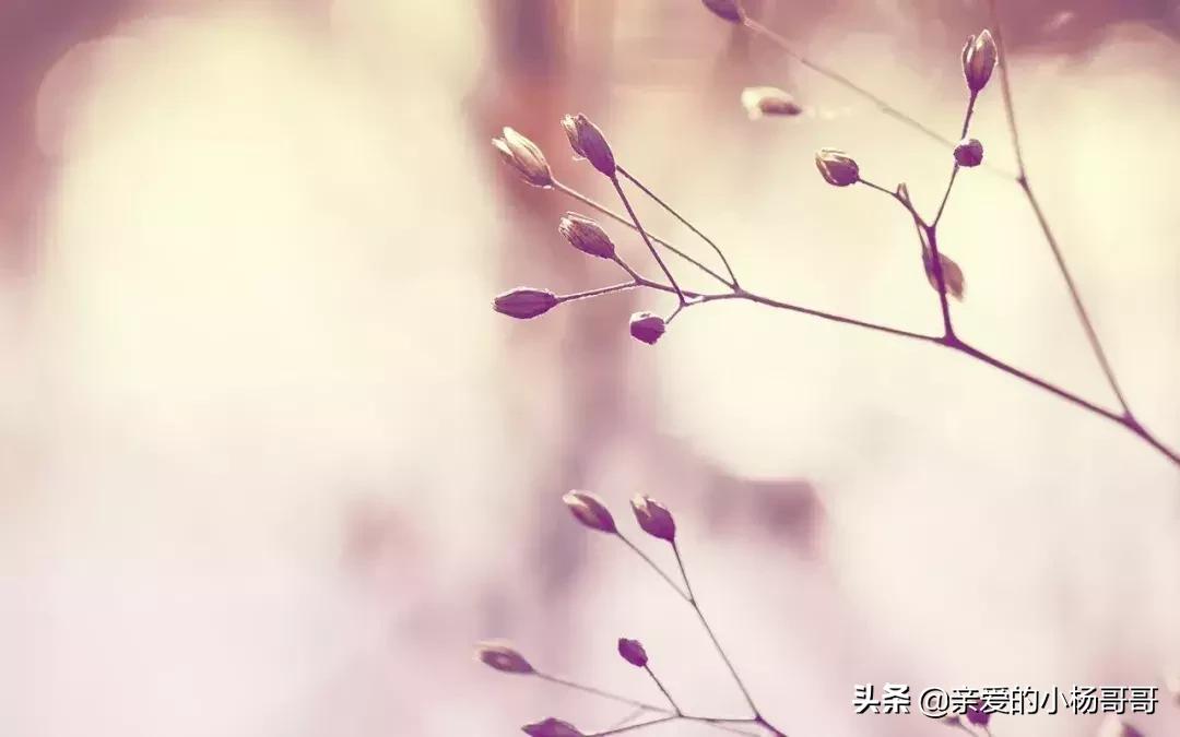 水是冰的泪原唱完整版,歌曲水是冰的眼泪女版