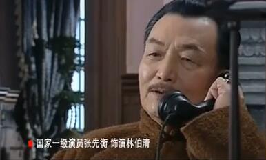 大染坊的导演及演员,不注水的电视剧大染坊