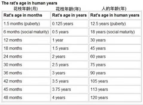 这才是撸猫正确的方式,撸猫不如撸狗