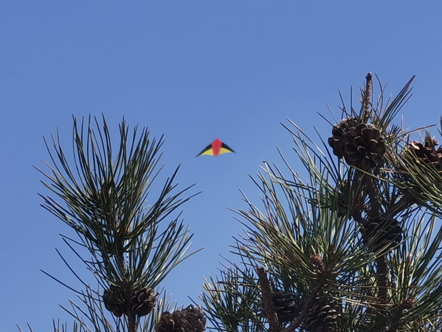 沈阳铁西区上空轰鸣声,沈阳早上听到轰鸣声