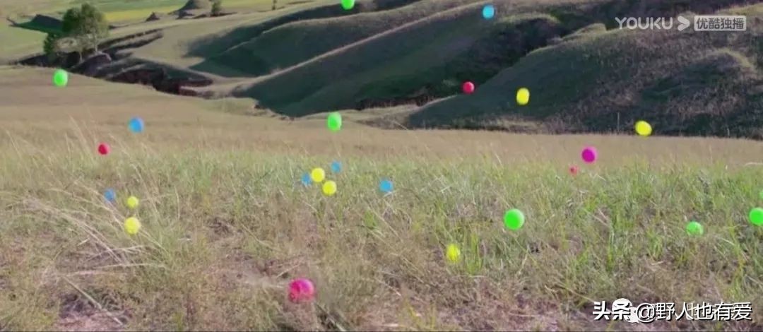 到底是电视好还是投影幕布好,话剧跟电影有什么区别