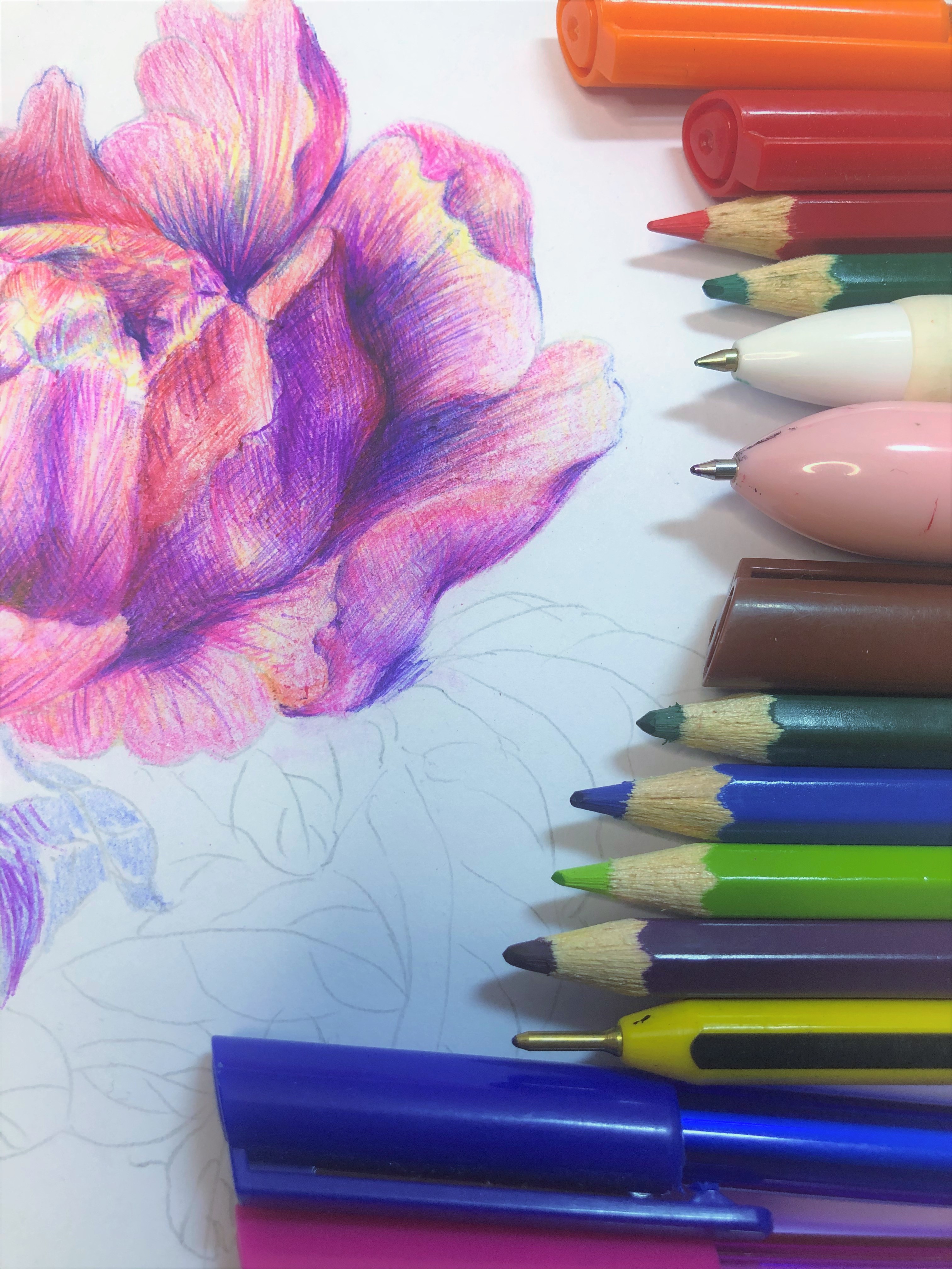 圆珠笔画牡丹教学,圆珠笔画牡丹的画法