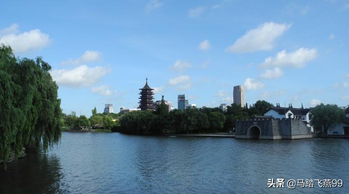 中国第一水牛,中国第一头牛