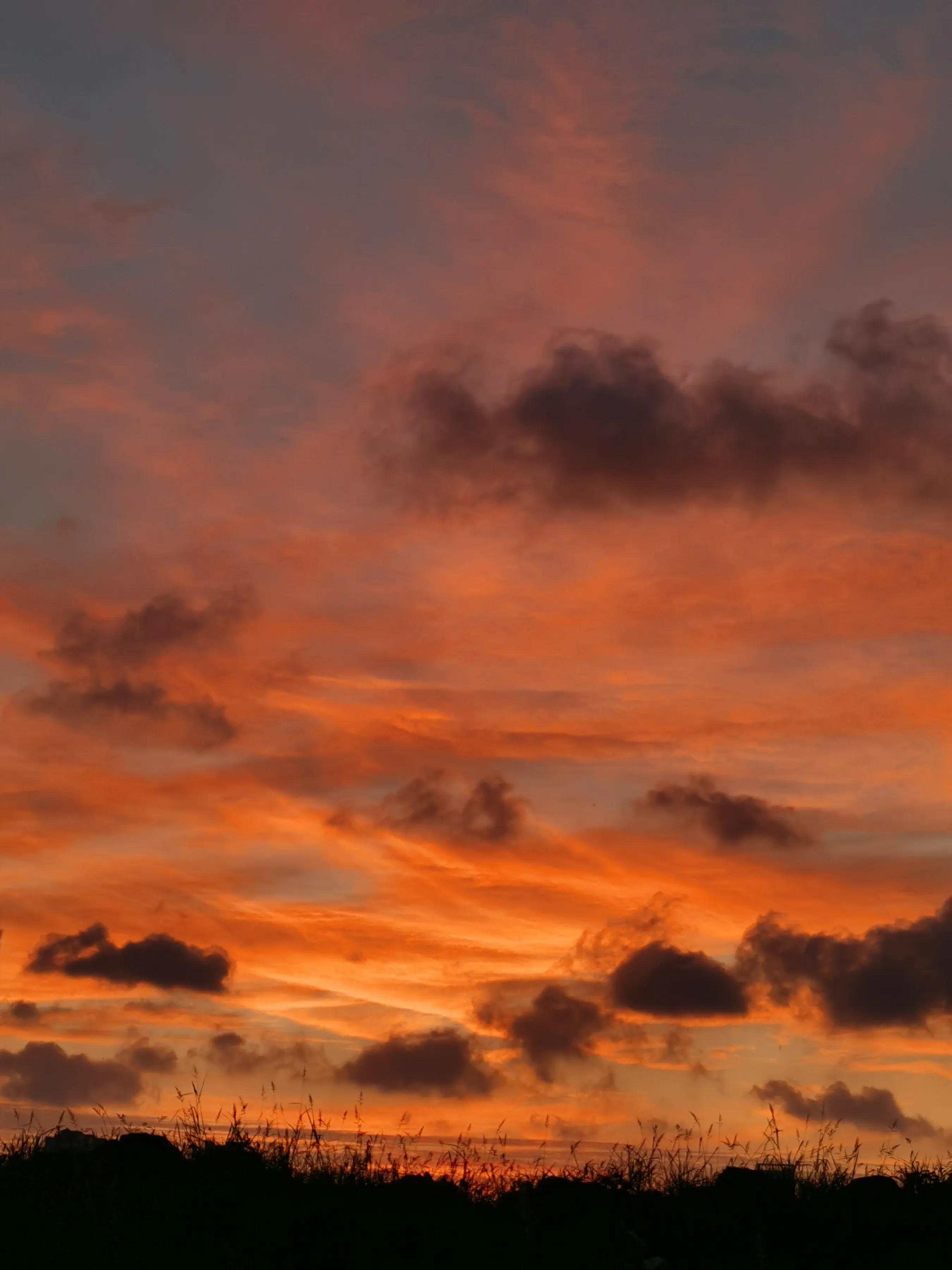 手机摄影手册圈友作品选第5期,手拍世界摄影交流平台