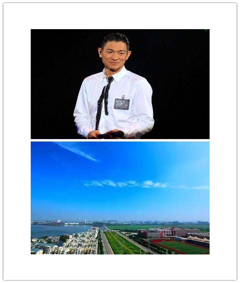 张学友黄陂哪里人,张学友武汉东西湖