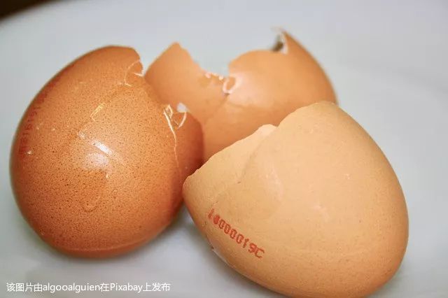 鸡蛋壳用途多千万别扔掉,鸡蛋壳有什么疗效