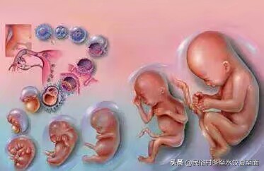 差点被勒死，才出生就丢在冰冷的地面，你相信这是我亲妈干的吗？