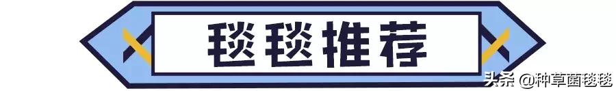 夏季女人必备的20件单品,夏季必备单品