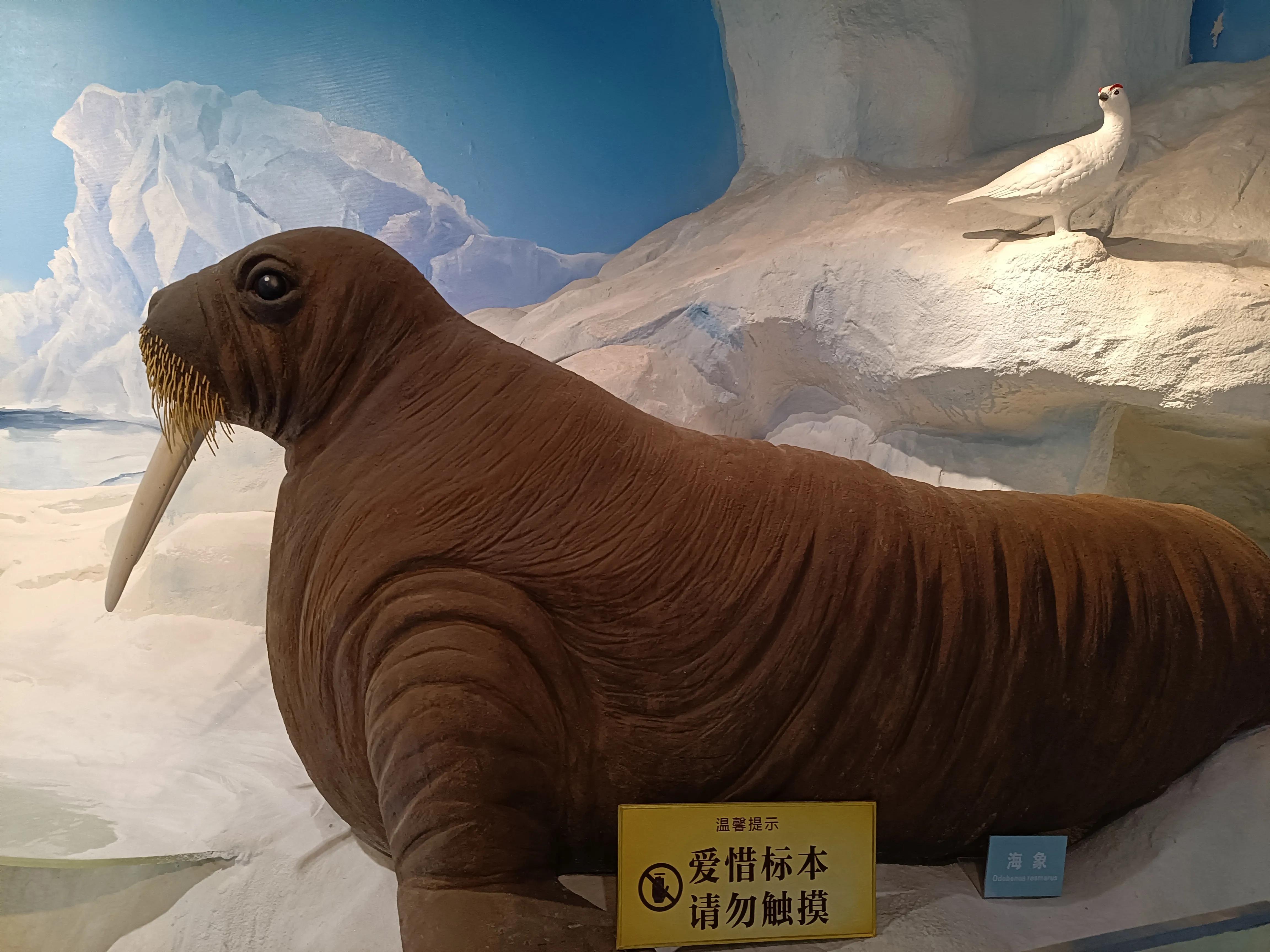 上方山森林公园作文,上方山森林公园动物世界