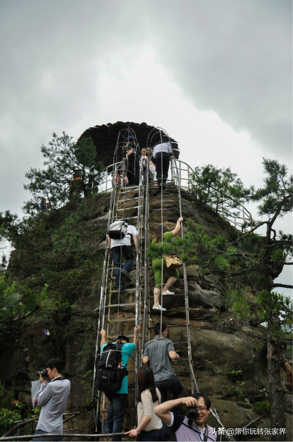 结伴赴张家界旅游,张家界国家森林公园门票多少钱