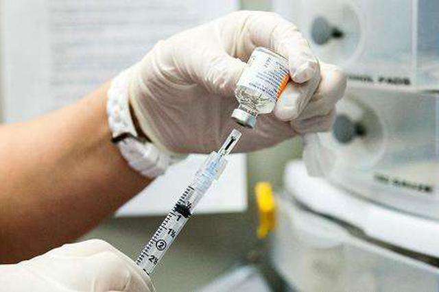 饲养泰迪犬的6个注意事项是什么,泰迪狗狗饲养攻略