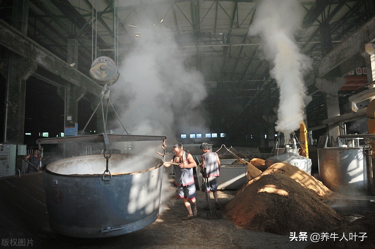 养牛技术好一年能赚多少钱,养牛比别人多挣6万